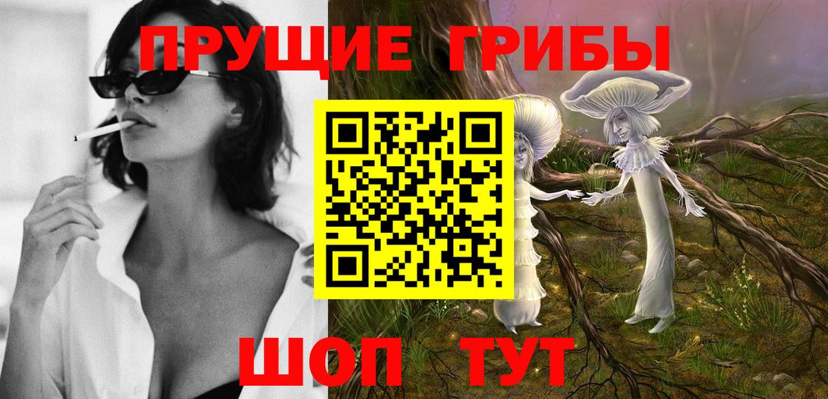 Ногинск  Галлюциногенные грибы Psilocybe  Вход с VPN 